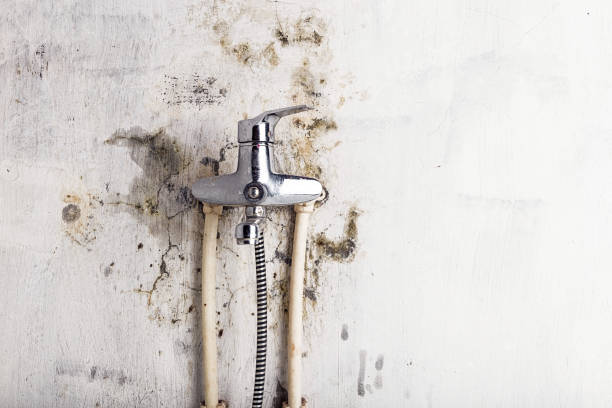 Best Water Damage Restoration  in Bridgeport, CT