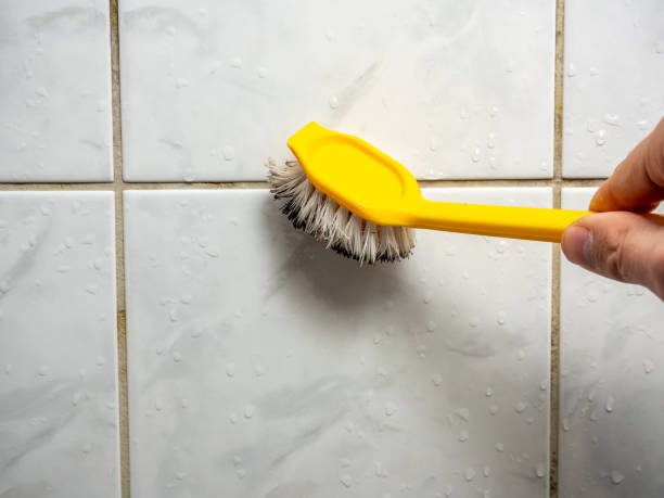 Best Mold Removal Process  in Bridgeport, CT