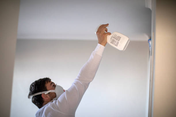 Mold Removal Process in Bridgeport, CT