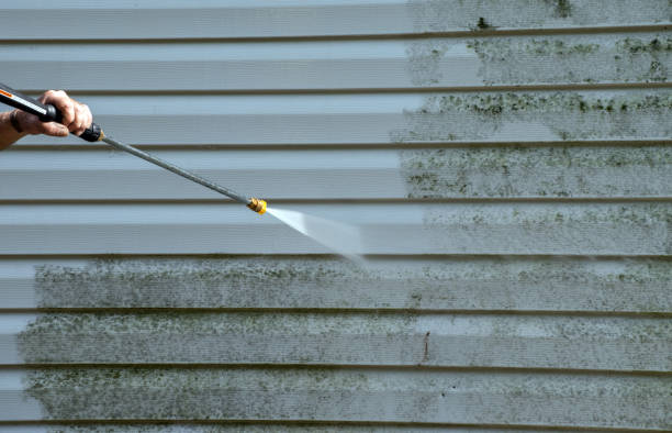 Best Certified Mold Removal  in Bridgeport, CT