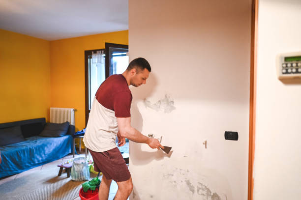 Attic Mold Removal in Bridgeport, CT